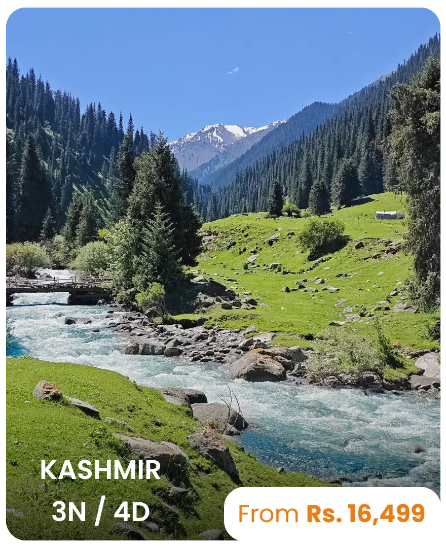 Kashmir Package